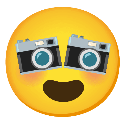 Combined Emoji - 1f4f7-1f60d